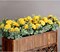 Artificial Roses Flowers 10 Heads Arrangement Silk Bouquet (Yellow) 9"D x 9"W x 15.7"H
